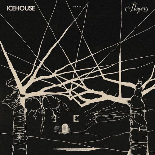 Icehouse Plays Flowers [LP] - VINYL