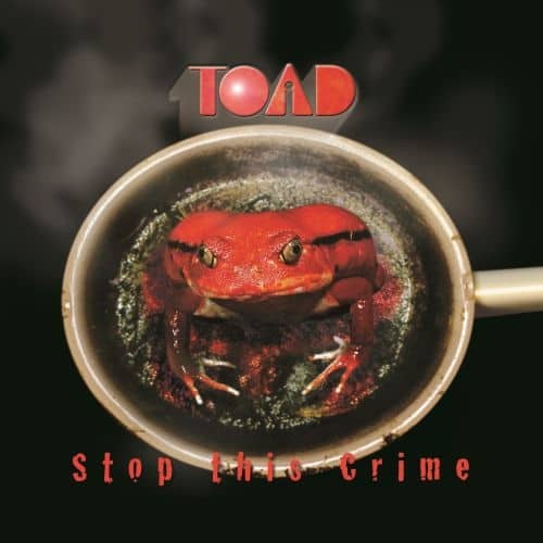 

Stop This Crime [LP] - VINYL