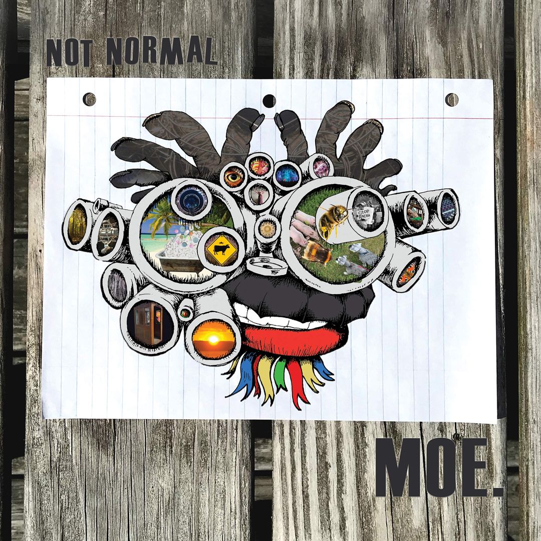 Not Normal [12 inch Vinyl Single]