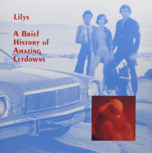 

A Brief History of Amazing Letdowns [Bonus Tracks] [LP] - VINYL