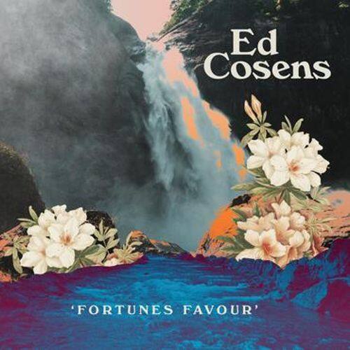 

Fortune's Favour [LP] - VINYL