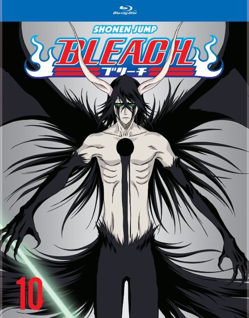 BLEACH Manga Volume 10