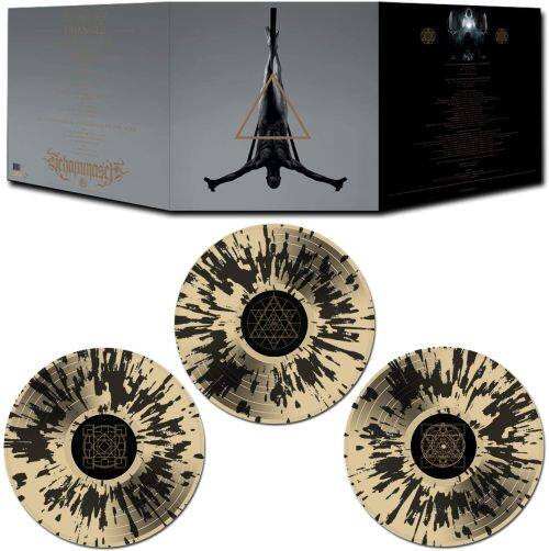

Triangle [LP] - VINYL