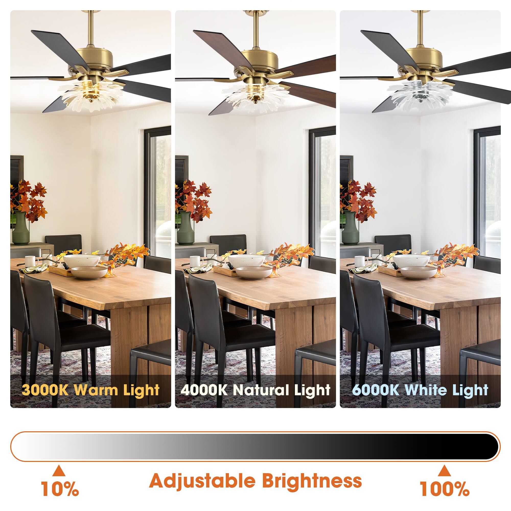 3000K Warm Light  
4000K Natural Light  
6000K White Light  

10% Adjustable Brightness  
100%