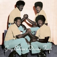 Greg Belson's Divine Funk [LP] - VINYL - Front_Standard