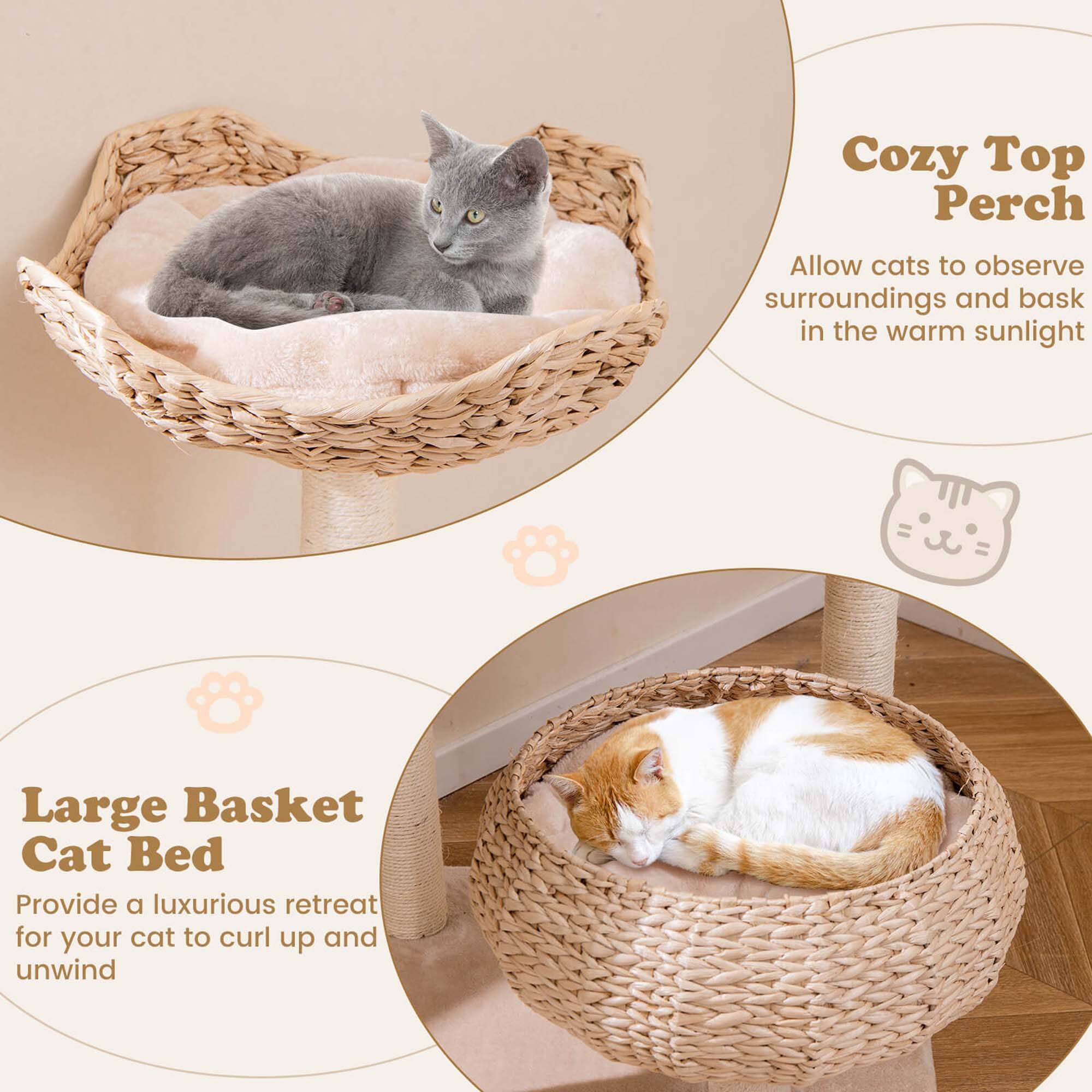 Cozy Top Perch  
Allow cats to observe surroundings and bask in the warm sunlight  

Large Basket Cat Bed  
Provide a luxurious retreat for your cat to curl up and unwind