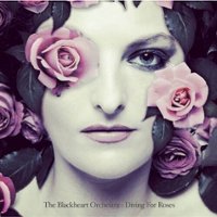 Diving for Roses [LP] - VINYL - Front_Standard