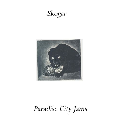 Paradise City Jams [LP] - VINYL