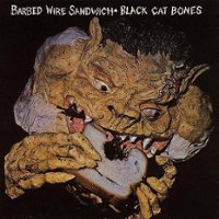 Barbed Wire Sandwich [LP] - VINYL - Front_Standard