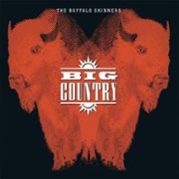 The Buffalo Skinners [LP] - VINYL - Front_Original