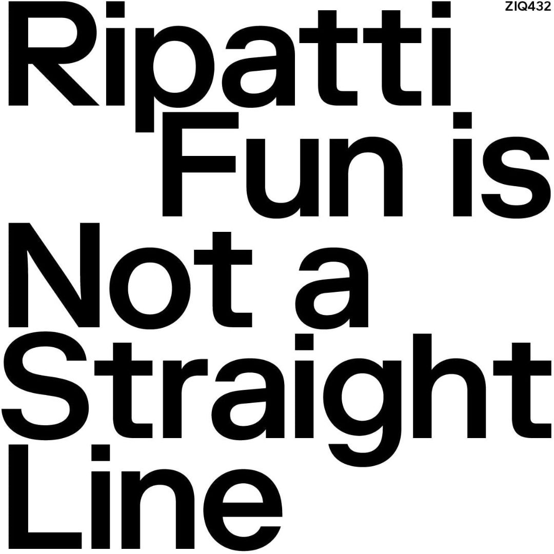 Fun Is Not a Straight Line [LP] - VINYL
