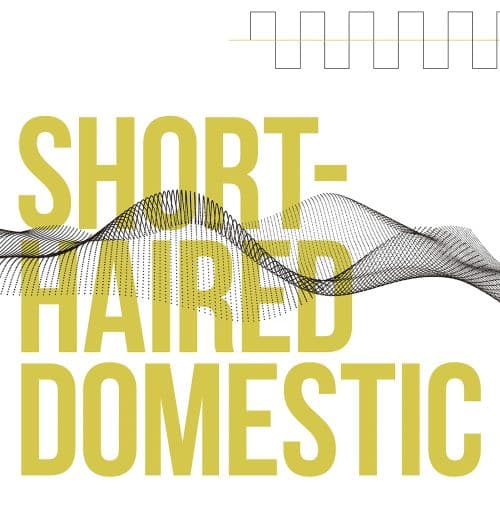 

Short-Haired Domestic [LP] - VINYL
