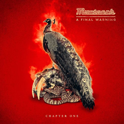 

A Final Warning: Chapter One [10 inch LP]