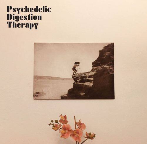 

Psychedelic Digestion Therapy [LP] - VINYL