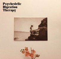Psychedelic Digestion Therapy [LP] - VINYL - Front_Original