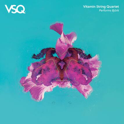 VSQ
Vitamin String Quartet
Performs Björk