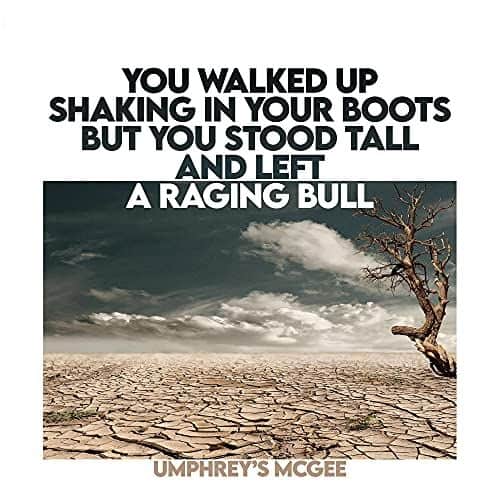 

You Walked Up Shaking in Your Boots But You Stood Tall and Left a Raging Bull [LP] - VINYL