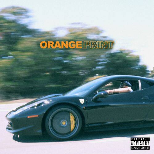 

Orange Print [LP] - VINYL