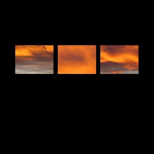 

The Suncrows Fall and Tree [LP] - VINYL