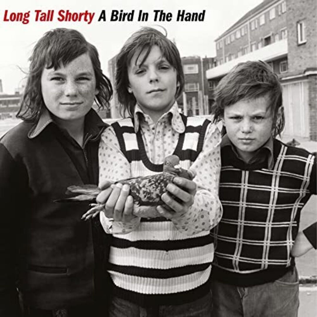 A Bird in the Hand [LP] - VINYL