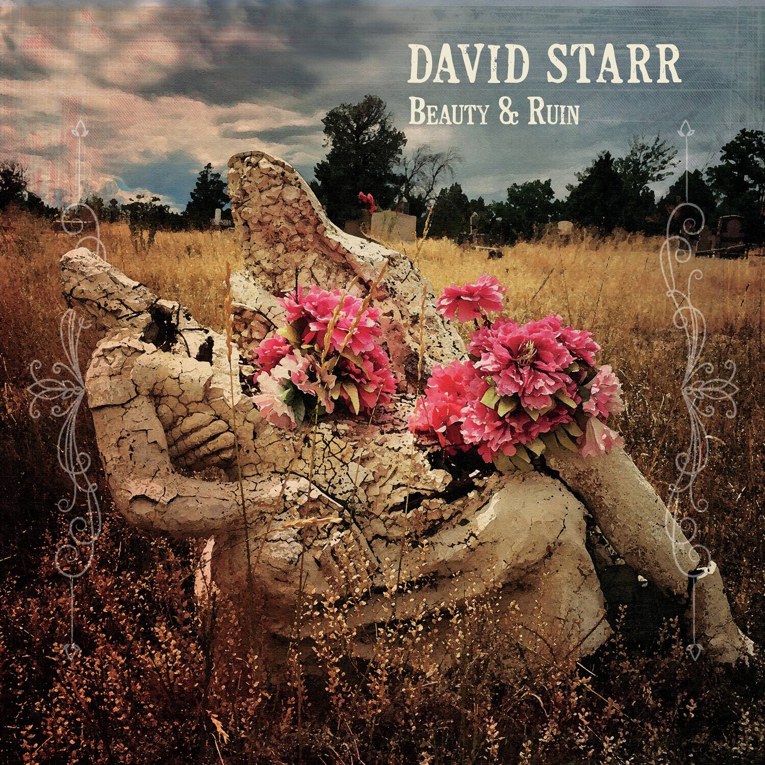 David Starr - Beauty & Ruin  - VINYL LP