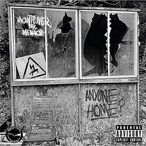 Anyone Home? [LP] - VINYL