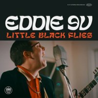 Little Black Flies [LP] - VINYL - Front_Original