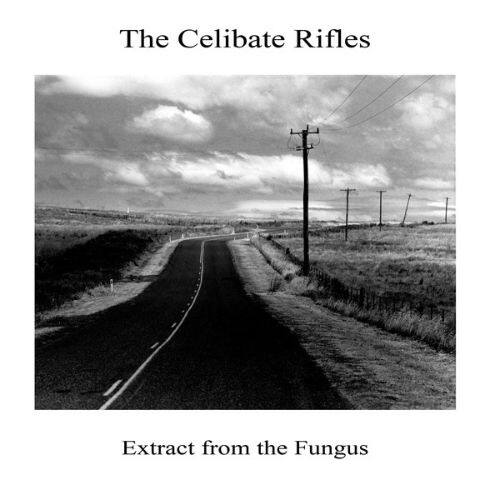 

Extract From the Fungus [LP] - VINYL