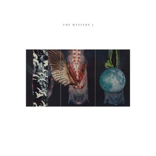 The  Mystery J [LP] - VINYL