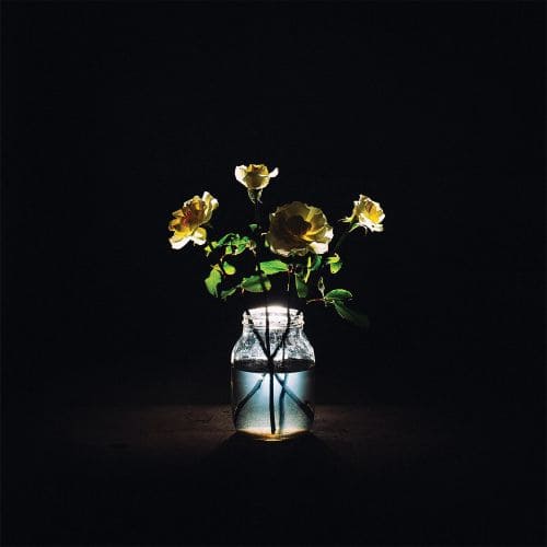 

Renewal [LP] - VINYL