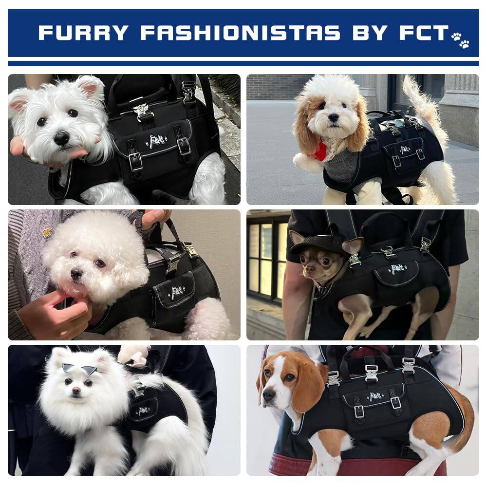 FURRY FASHIONISTAS BY FCT
