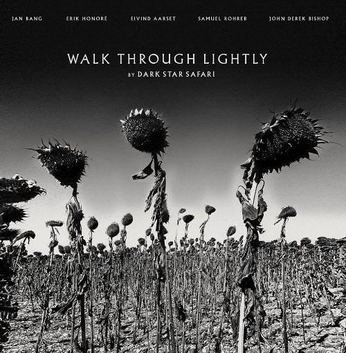 

Walk Through Lightly [LP] - VINYL