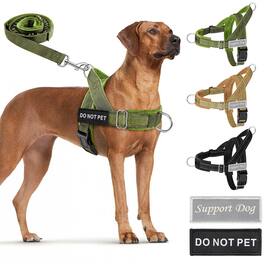 Paradigms Interiors - No Pull Dog Harness - And Leash Set For Dogs Reflective With Soft Padded Front Clip Easy Walk - Green-Large