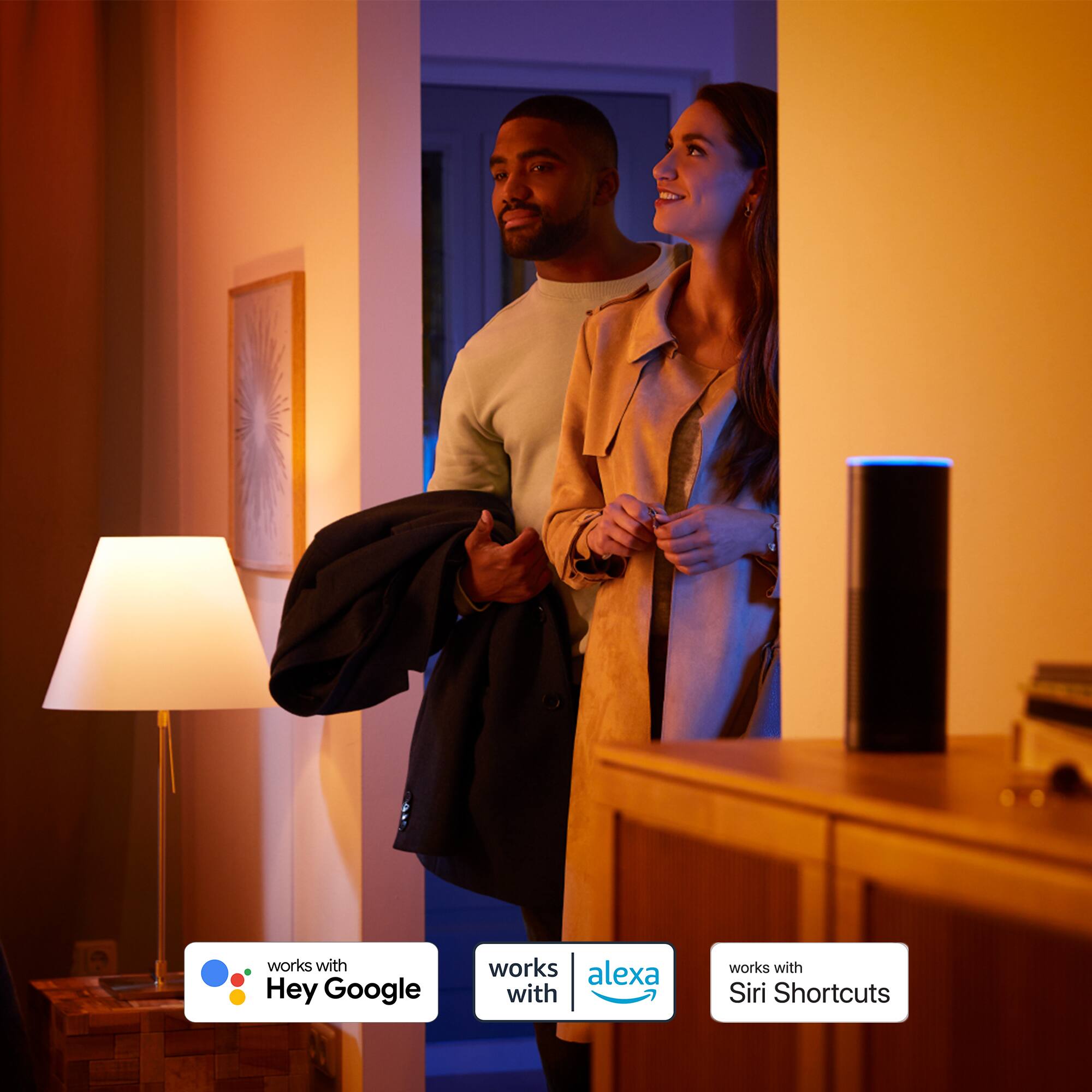 works with Hey Google  
works with Alexa  
works with Siri Shortcuts