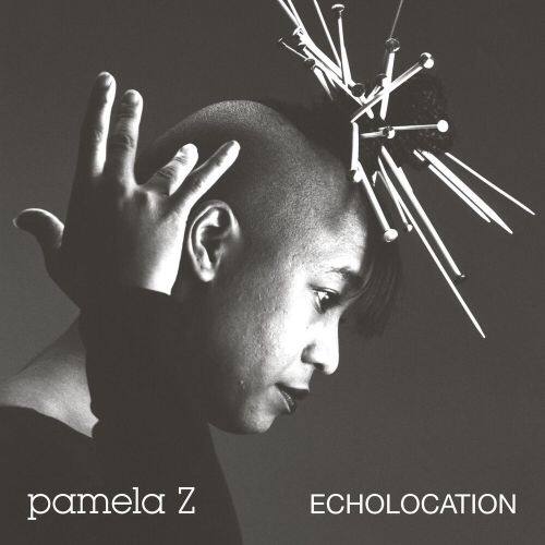 

Echolocation [LP] - VINYL