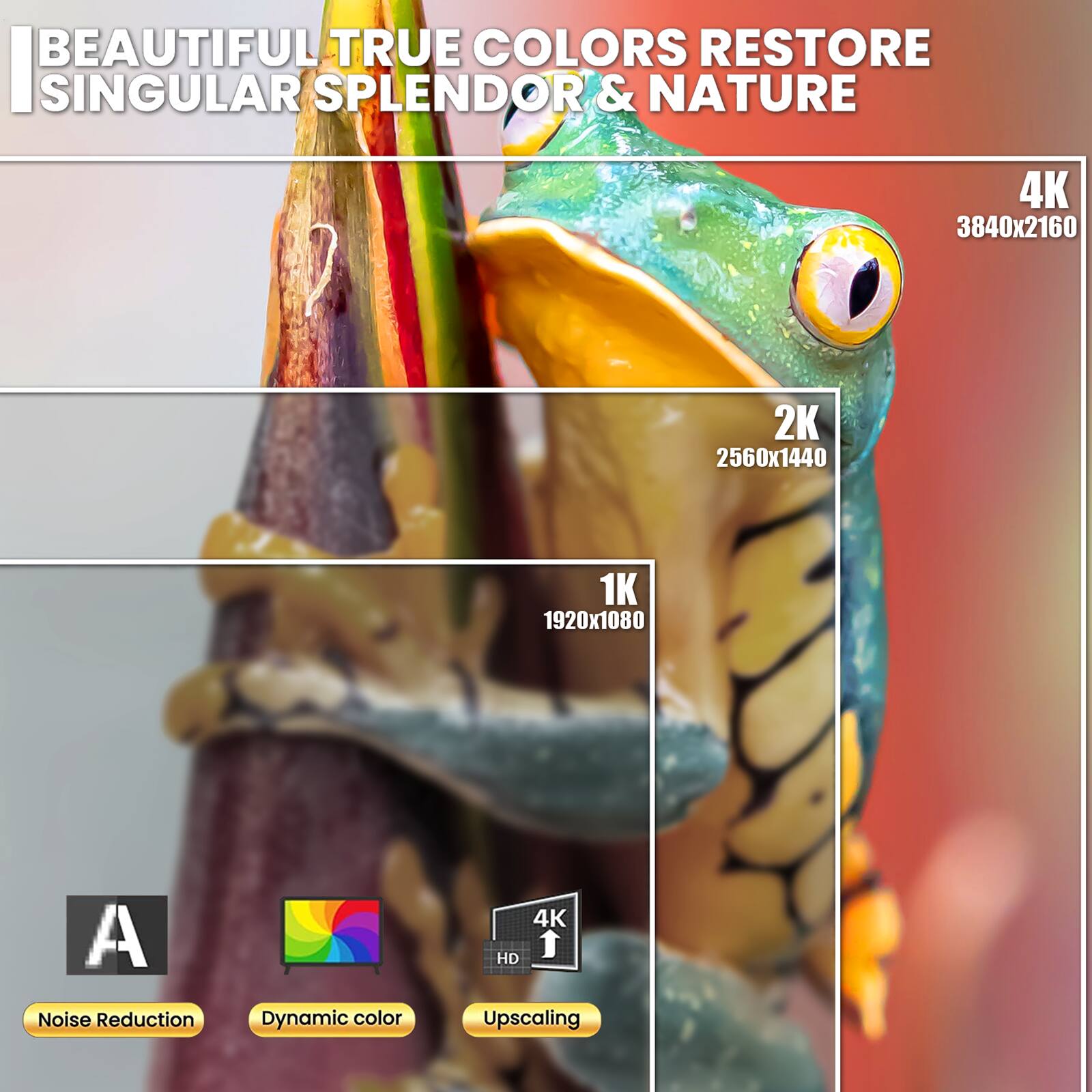 BEAUTIFUL TRUE COLORS RESTORE SINGULAR SPLENDOR & NATURE

4K 3840x2160
2K 2560x1440
1K 1920x1080

A Noise Reduction
Dynamic color
4K HD Upscaling