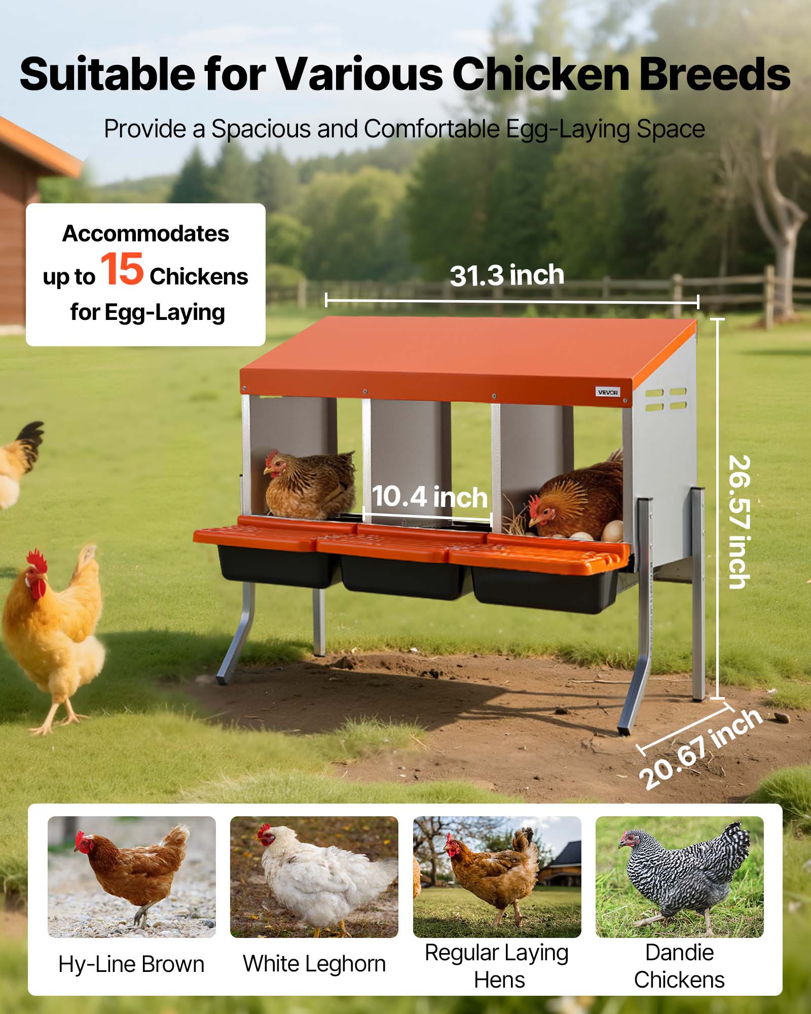 Suitable for Various Chicken Breeds  
Provide a Spacious and Comfortable Egg-Laying Space  

Accommodates up to 15 Chickens for Egg-Laying  

31.3 inch  
10.4 inch  
26.57 inch  
20.67 inch  

Hy-Line Brown  
White Leghorn  
Regular Laying Hens  
Dandie Chickens