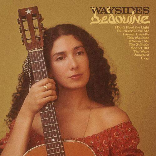 

Waysides [LP] - VINYL