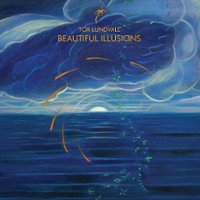 Beautiful Illusions [LP] - VINYL - Front_Standard