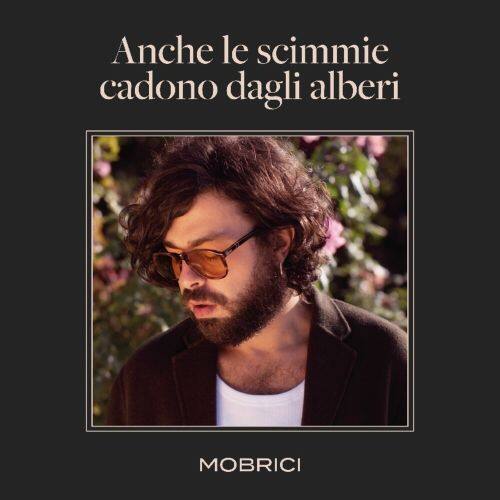 

Anche le scimmie cadono dagli alberi [LP] - VINYL