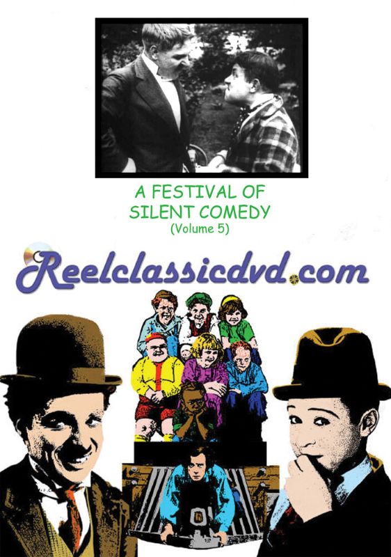 

A Festival of Silent Comedy: Volume 5 [DVD]