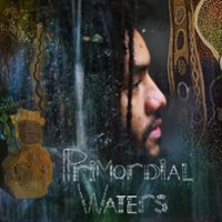 Primordial Waters [LP] - VINYL - Front_Original