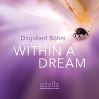 Within a Dream [LP] - VINYL - Front_Original