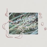 Sculpturegardening [LP] - VINYL - Front_Original