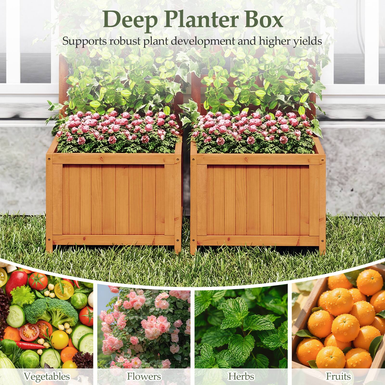 Deep Planter Box  
Supports robust plant development and higher yields  

Vegetables  
Flowers  
Herbs  
Fruits