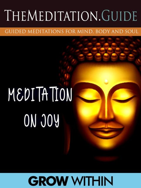 bestbuy.com | The Meditation Guide: Meditation On Joy
