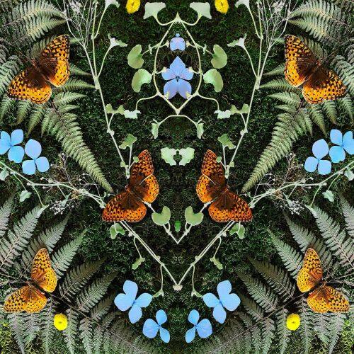 

Aubades [LP] - VINYL