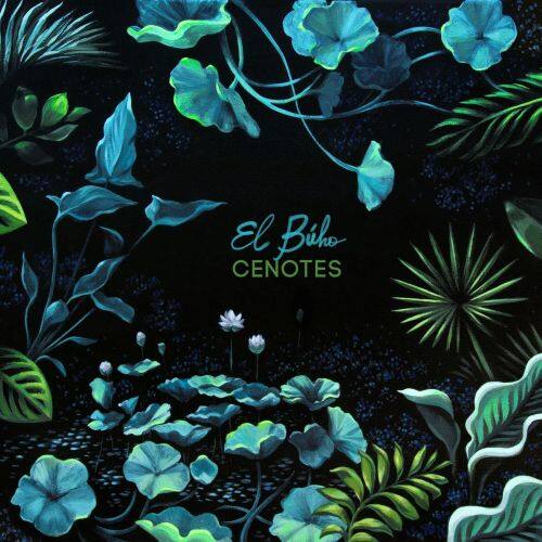 

Cenotes [12 inch Vinyl Single]