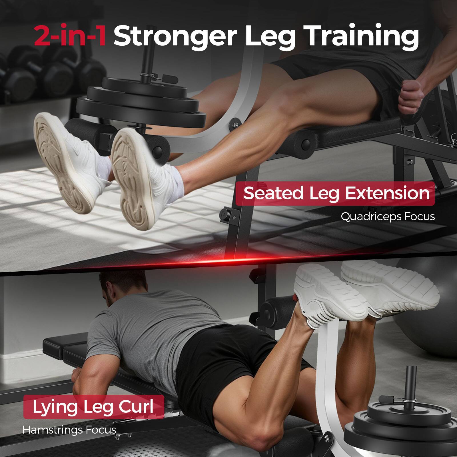 2-in-1 Stronger Leg Training

Seated Leg Extension  
Quadriceps Focus

Lying Leg Curl  
Hamstrings Focus