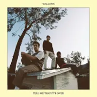 Tell Me That It's Over [LP] - VINYL - Front_Original